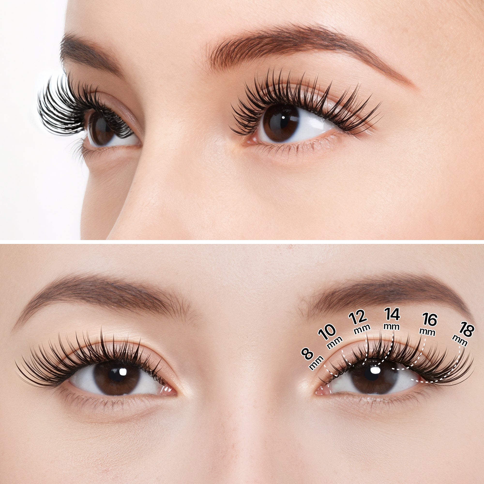 Flutter