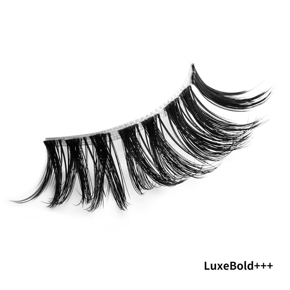 Pre-mapped Lash 1 Pair