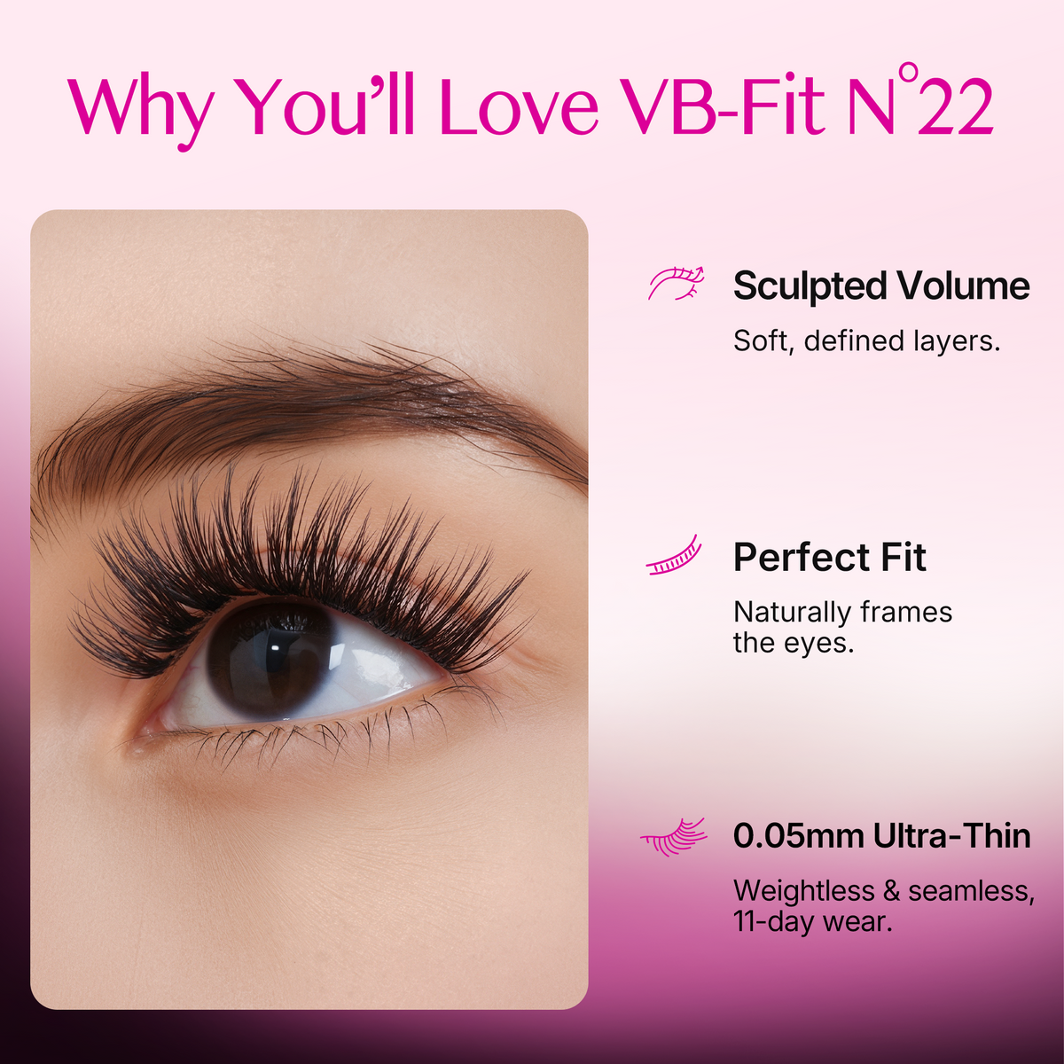 VB-Fit N°22