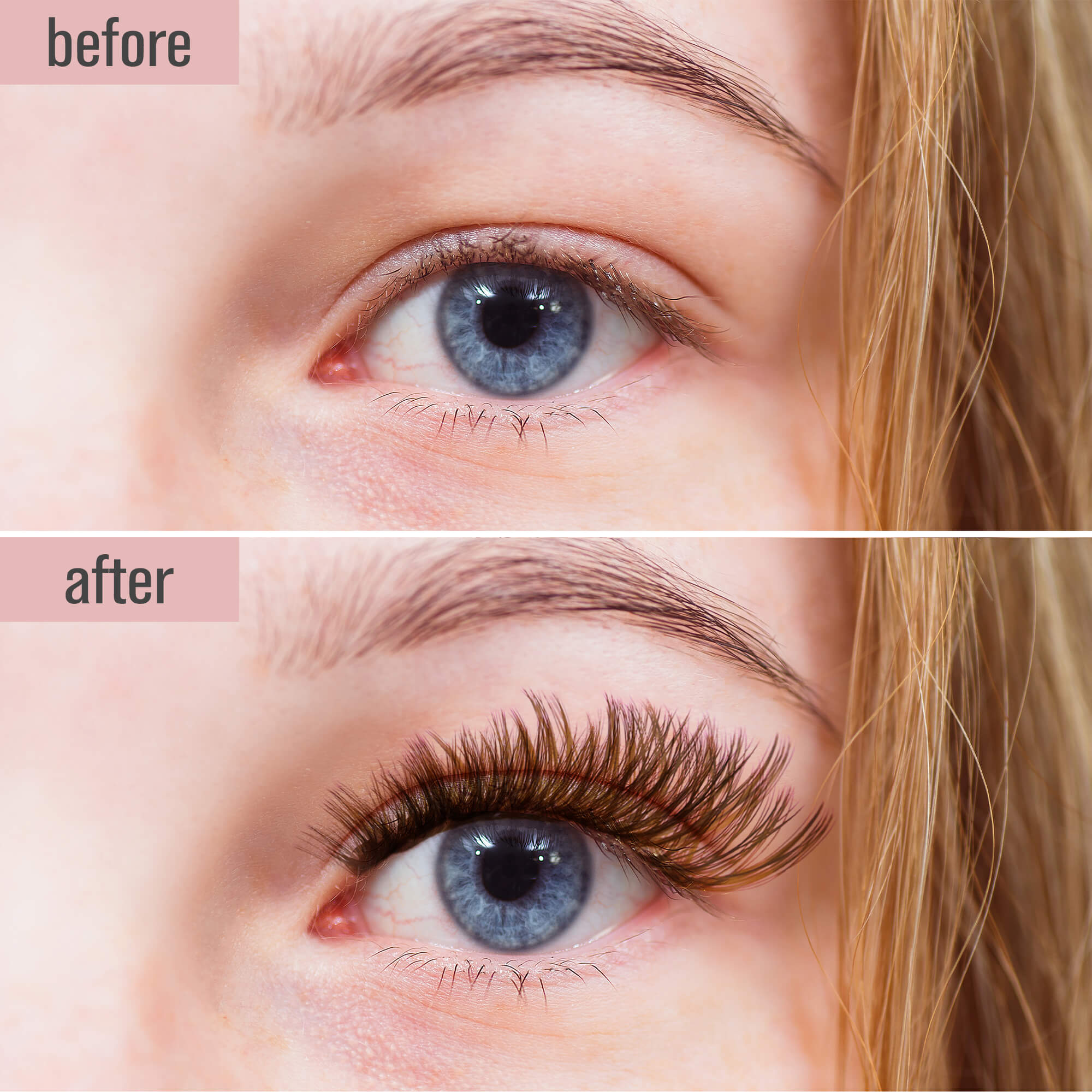 UltraVolume Brown Lashes